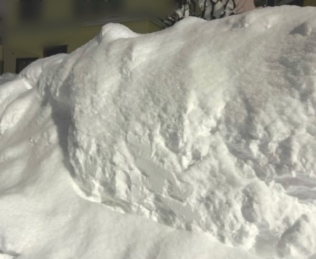 f3273722-203c-4a33-94ce-a16b0d506545