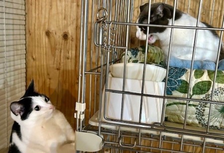 49da6fbd-8ce5-406a-967d-6a0bbfefd70a