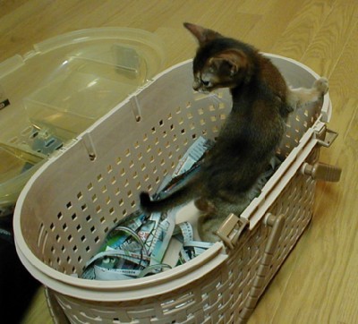 「猫だらけ」
