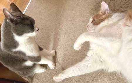 thumbnail_IMG_3569 (2)