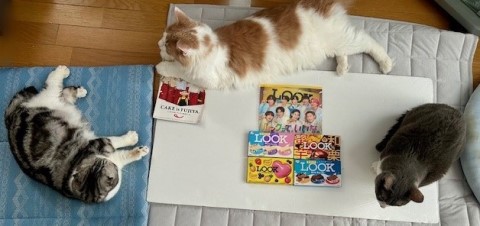 thumbnail_IMG_2170 (1)