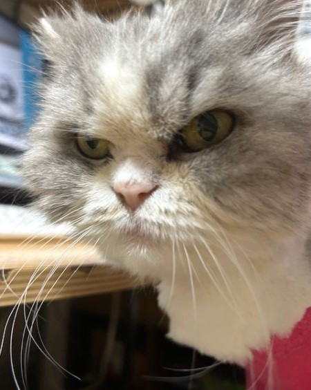 thumbnail_IMG_7214 (2)