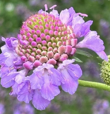 thumbnail_IMG_4895