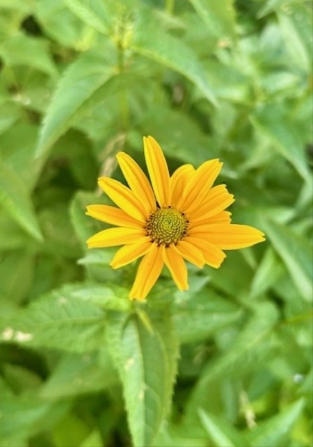 thumbnail_IMG_8792 (1)