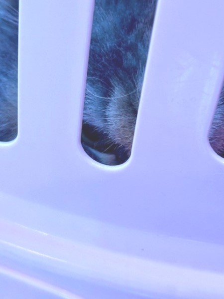 thumbnail_IMG_4580 (2)