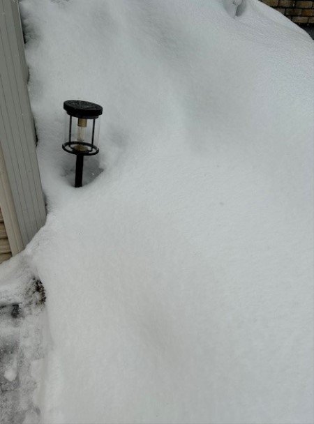 thumbnail_IMG_5006 (1)