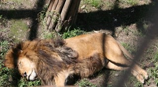 img_2900_2
