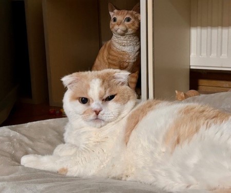 thumbnail_IMG_8756 (1)