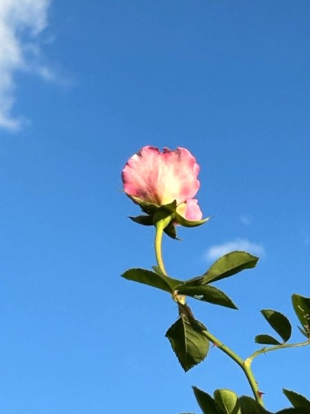 thumbnail_IMG_9051 (1)