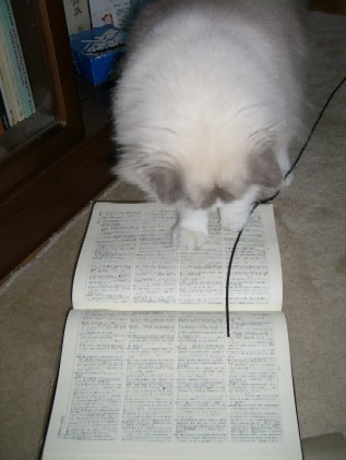 83e83B83t834083j815B82P8C8E82Q82Q93FA