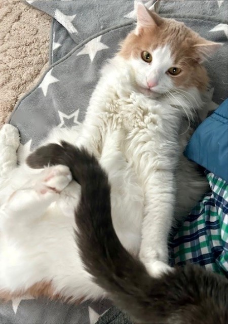 thumbnail_IMG_4301 (1)