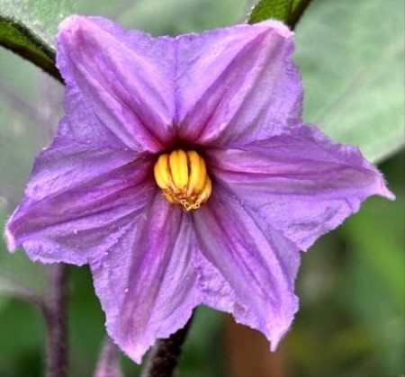 thumbnail_IMG_3419 (1)_1