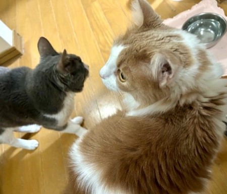 thumbnail_IMG_5242 (2)