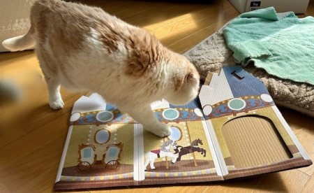 thumbnail_IMG_2722