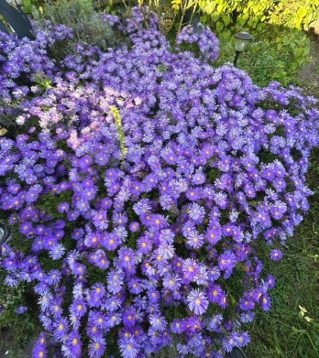thumbnail_IMG_9054 (1)
