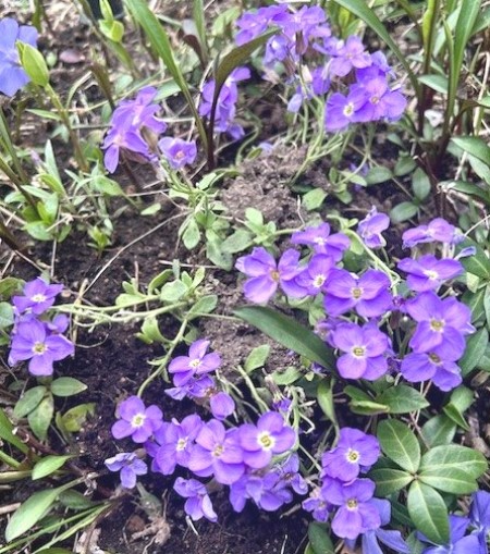 thumbnail_IMG_5648 (1)