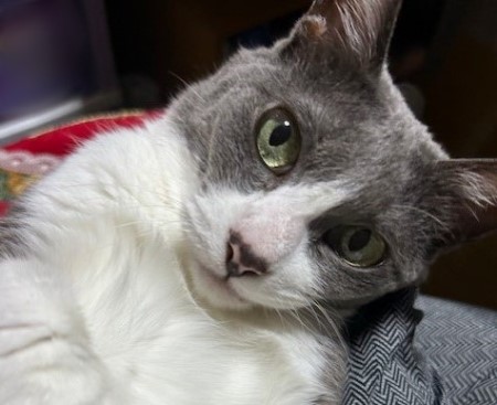 thumbnail_IMG_7541_1