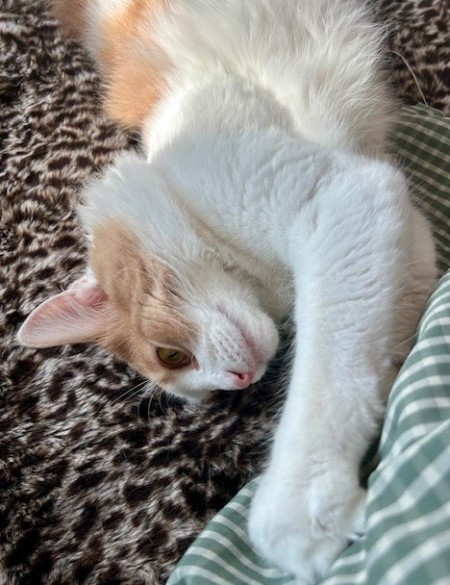 thumbnail_IMG_8620 (1)