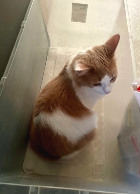 thumbnail_IMG_8460 (2)