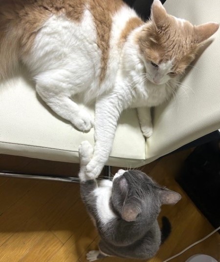 thumbnail_IMG_3762 (1)