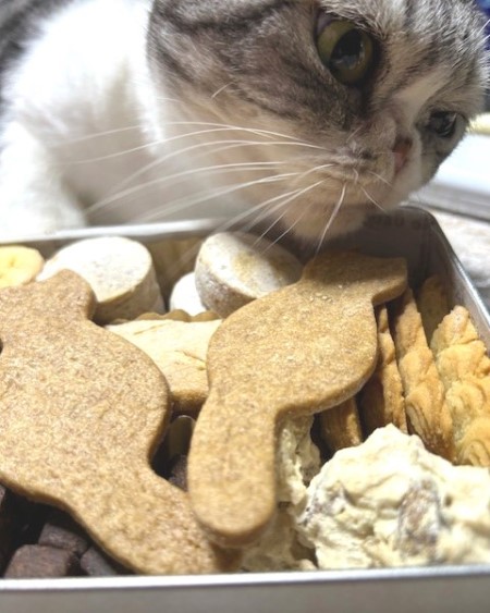 thumbnail_IMG_6947 (1)