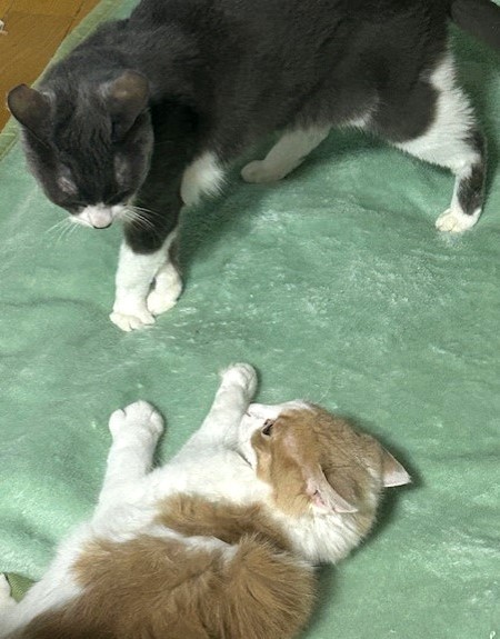 thumbnail_IMG_3146 (1)