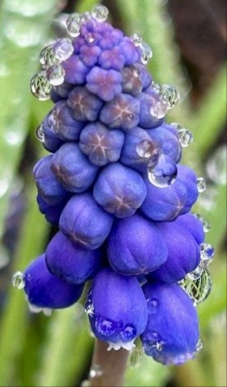 thumbnail_IMG_4675 (1)