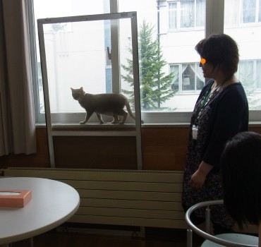 「猫だらけ」