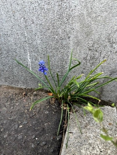 thumbnail_IMG_9614
