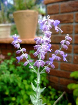 2008_09080081