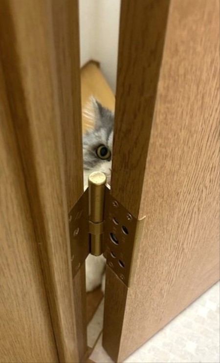 thumbnail_IMG_1370 (1)