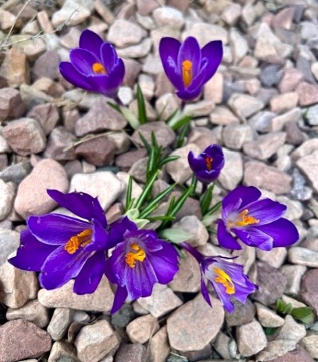 thumbnail_IMG_4503 (1)