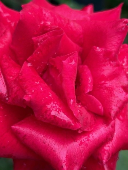thumbnail_IMG_4471 (1)