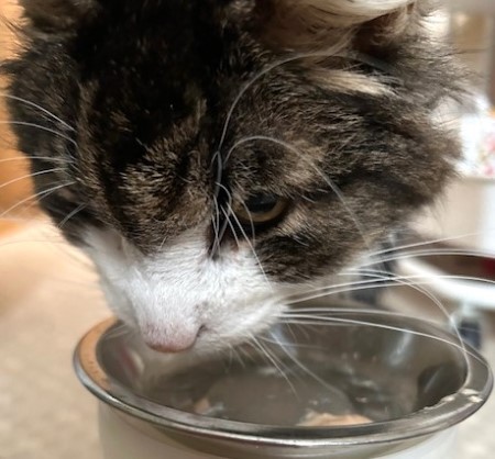 thumbnail_IMG_5104 (1)