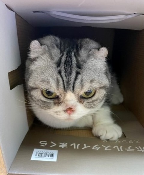 thumbnail_IMG_7154