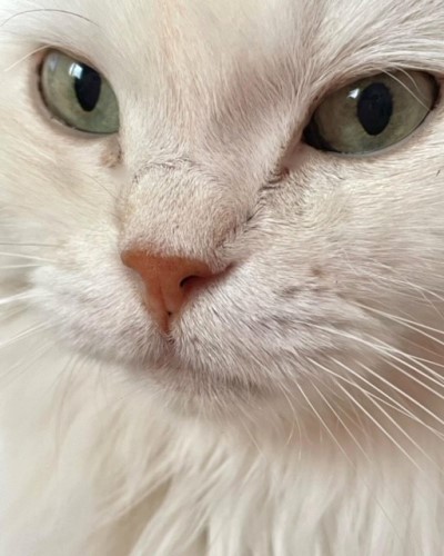 7D12E231-B3E5-4952-A1D4-69B567F56AF7