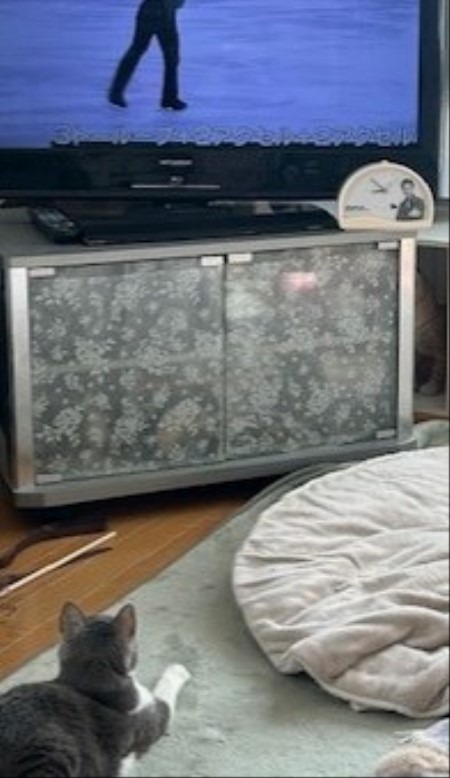 ed9b2acb-b451-4062-b0c0-4f99a7b9231c