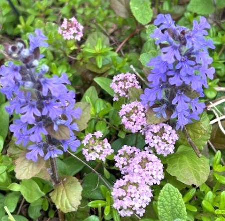 thumbnail_IMG_0849 (1)