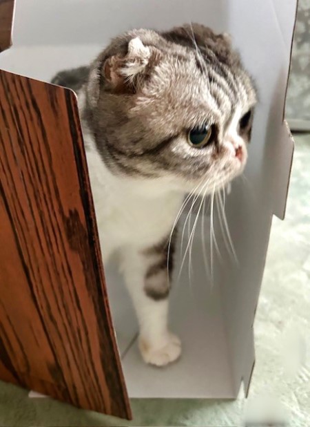 thumbnail_IMG_8365 (1)