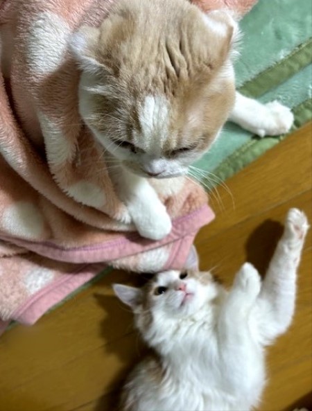 thumbnail_IMG_3645 (1)