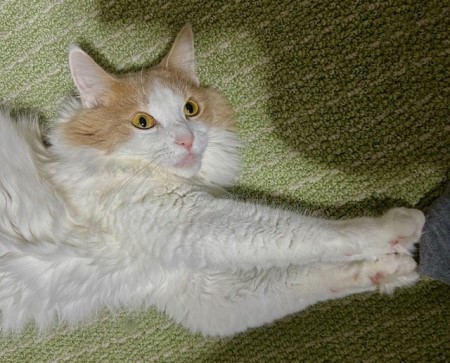 thumbnail_IMG_5863 (1)