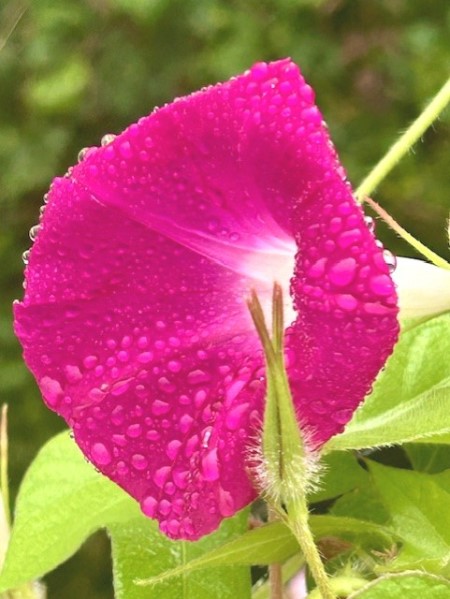 thumbnail_IMG_1168