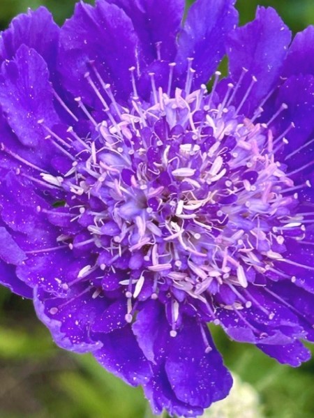 thumbnail_IMG_9277 (2)