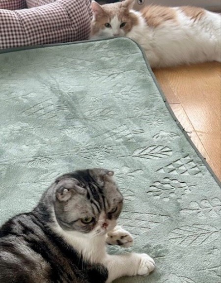 thumbnail_IMG_5176 (1)