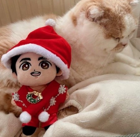 thumbnail_IMG_5730 (1)