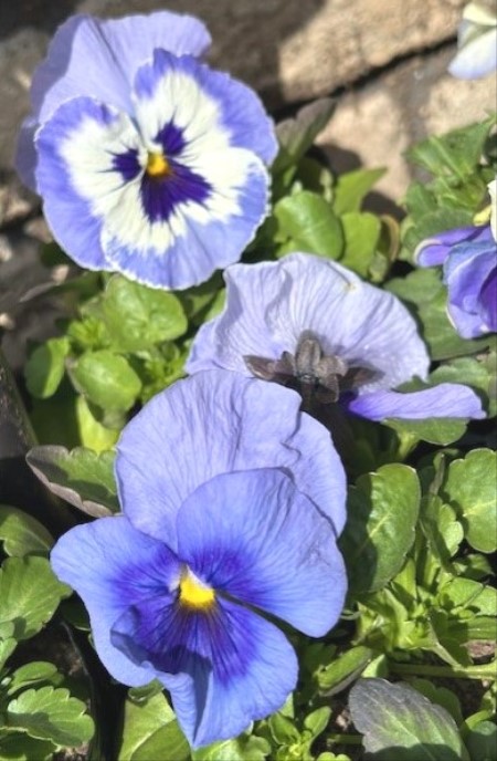 thumbnail_IMG_7874 (1)