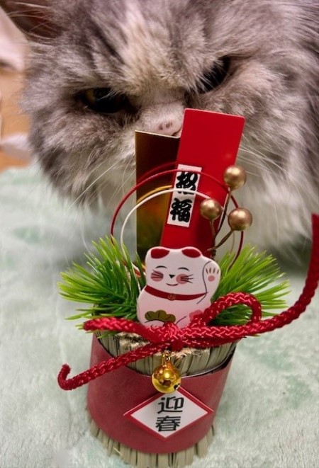 thumbnail_IMG_6044 (1)