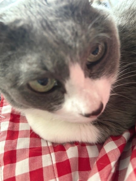 thumbnail_IMG_1200 (1)