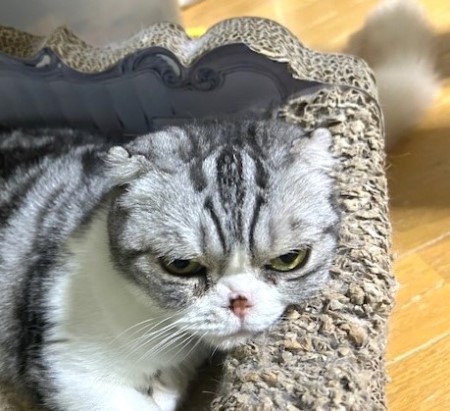 thumbnail_IMG_0763 (1)