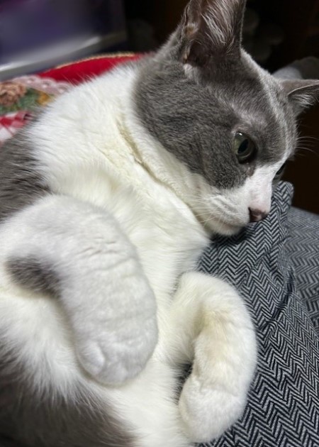 thumbnail_IMG_7537 (1)_1